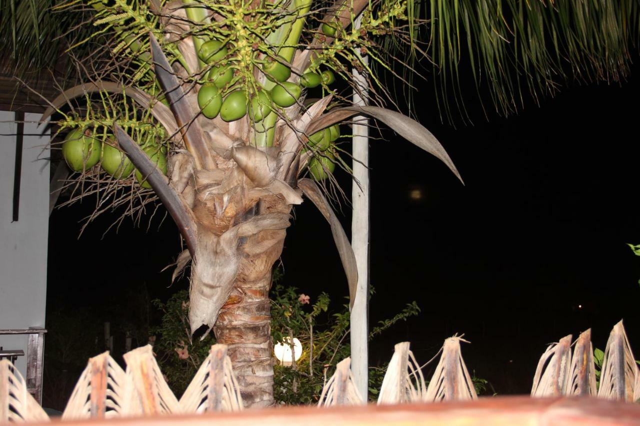 Pousada Thai Bungalows-Taipu De Fora Barra Grande  Ngoại thất bức ảnh